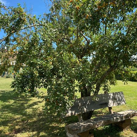 Les Feuilles Jaunes Chantenay-Saint-Imbert Εξωτερικό φωτογραφία