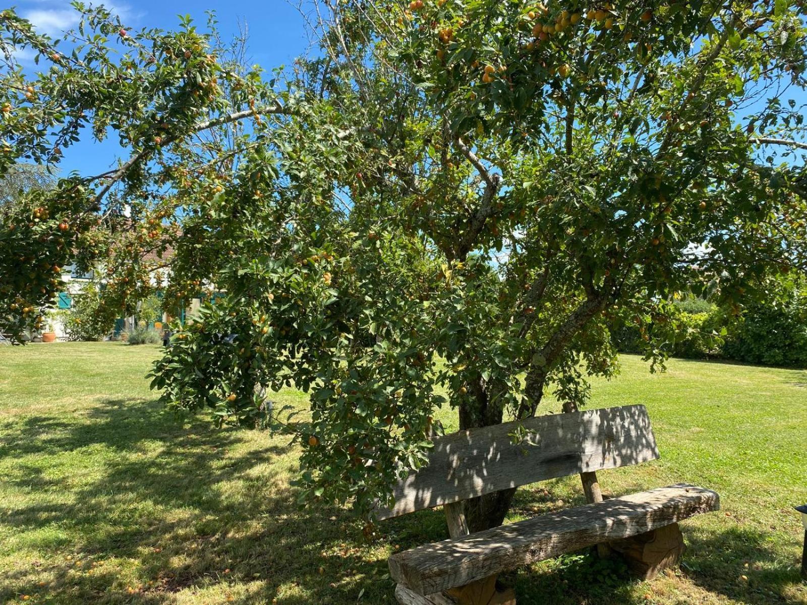 Les Feuilles Jaunes Chantenay-Saint-Imbert Εξωτερικό φωτογραφία